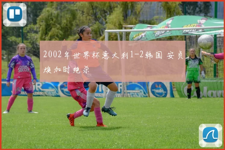2002年世界杯意大利1-2韩国 安贞焕加时绝杀