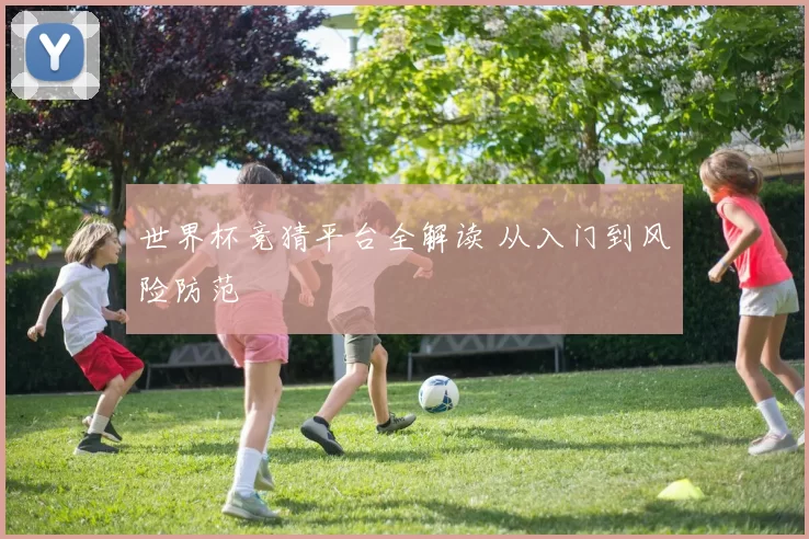 世界杯竞猜平台全解读 从入门到风险防范
