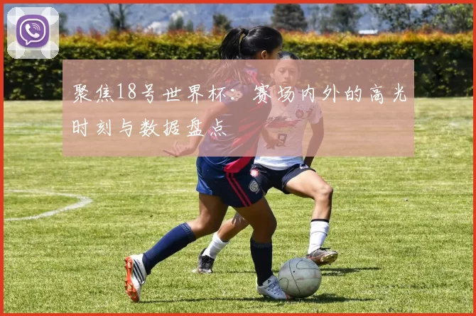 聚焦18号世界杯：赛场内外的高光时刻与数据盘点