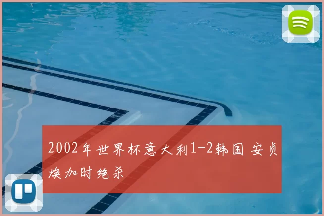 2002年世界杯意大利1-2韩国 安贞焕加时绝杀