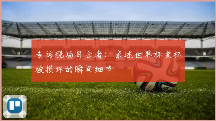 专访现场目击者：亲述世界杯奖杯被损坏的瞬间细节