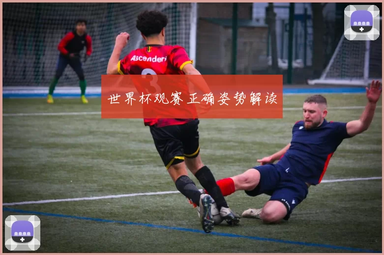 世界杯观赛正确姿势解读