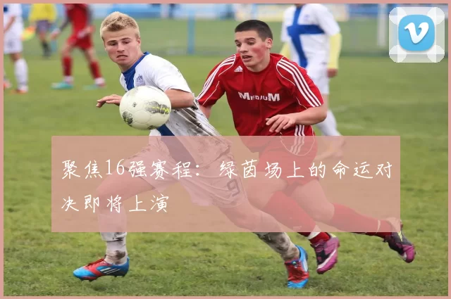 聚焦16强赛程：绿茵场上的命运对决即将上演