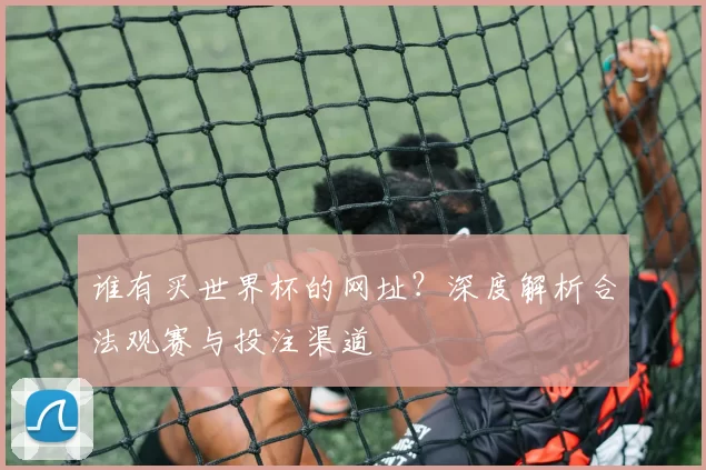 谁有买世界杯的网址？深度解析合法观赛与投注渠道