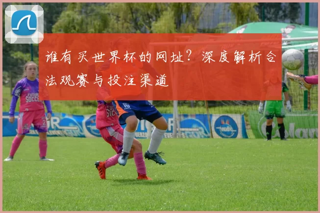谁有买世界杯的网址?深度解析合法观赛与投注渠道