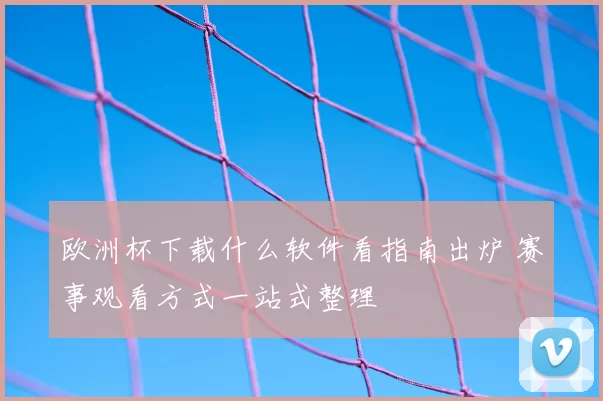 欧洲杯下载什么软件看指南出炉 赛事观看方式一站式整理