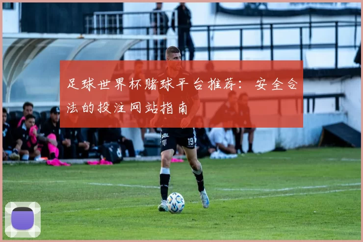 足球世界杯赌球平台推荐:安全合法的投注网站指南