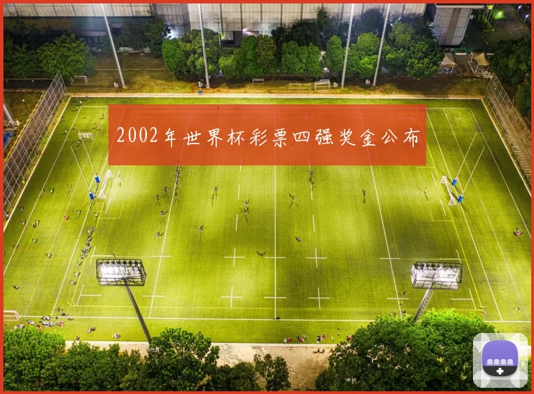 2002年世界杯彩票四强奖金公布