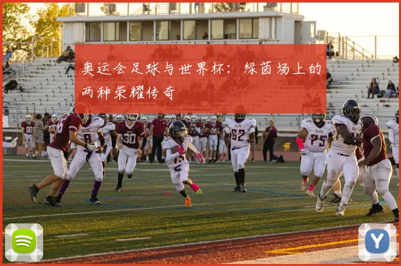 奥运会足球与世界杯：绿茵场上的两种荣耀传奇