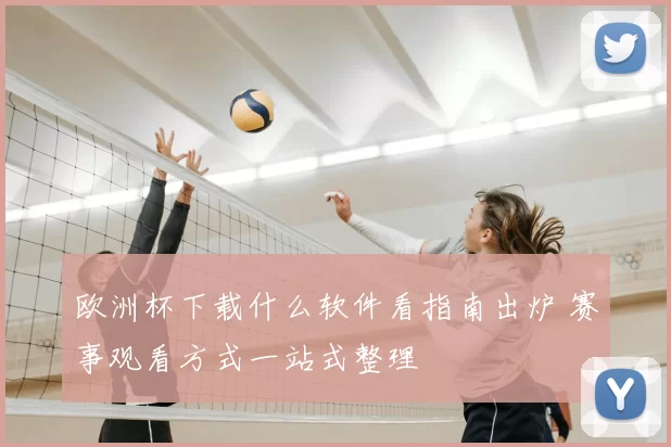 欧洲杯下载什么软件看指南出炉 赛事观看方式一站式整理