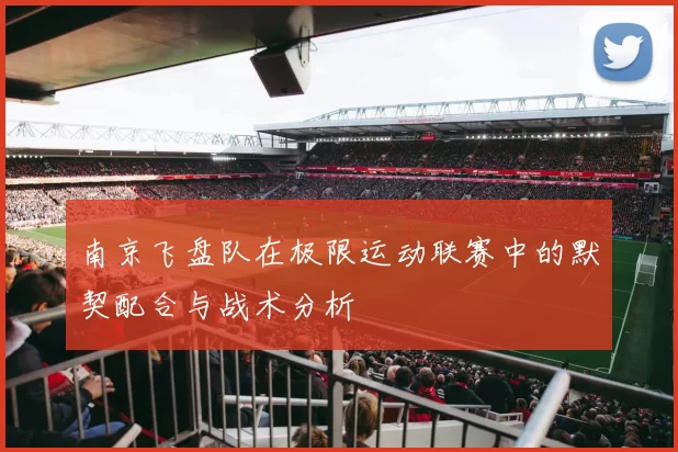 南京飞盘队在极限运动联赛中的默契配合与战术分析