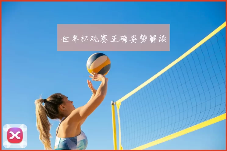 世界杯观赛正确姿势解读