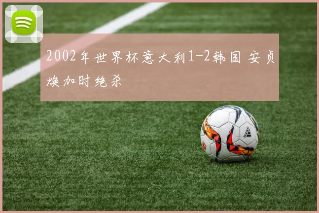 2002年世界杯意大利1-2韩国 安贞焕加时绝杀